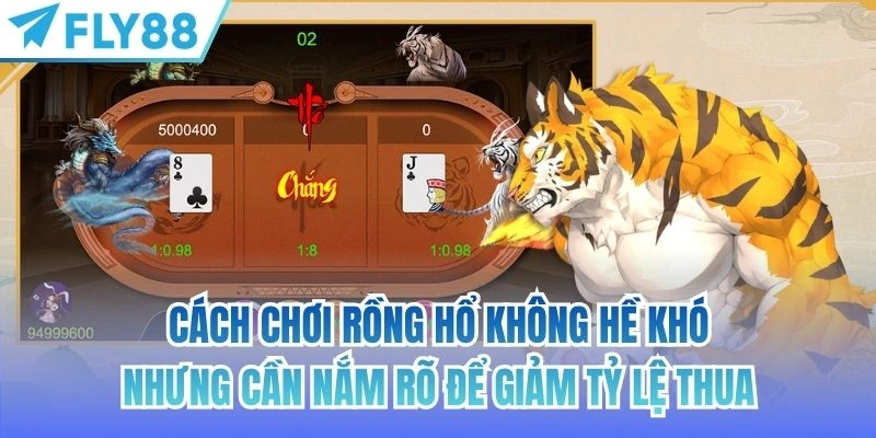 Cách chơi rồng hổ không hề khó nhưng cần nắm rõ để giảm tỷ lệ thua
